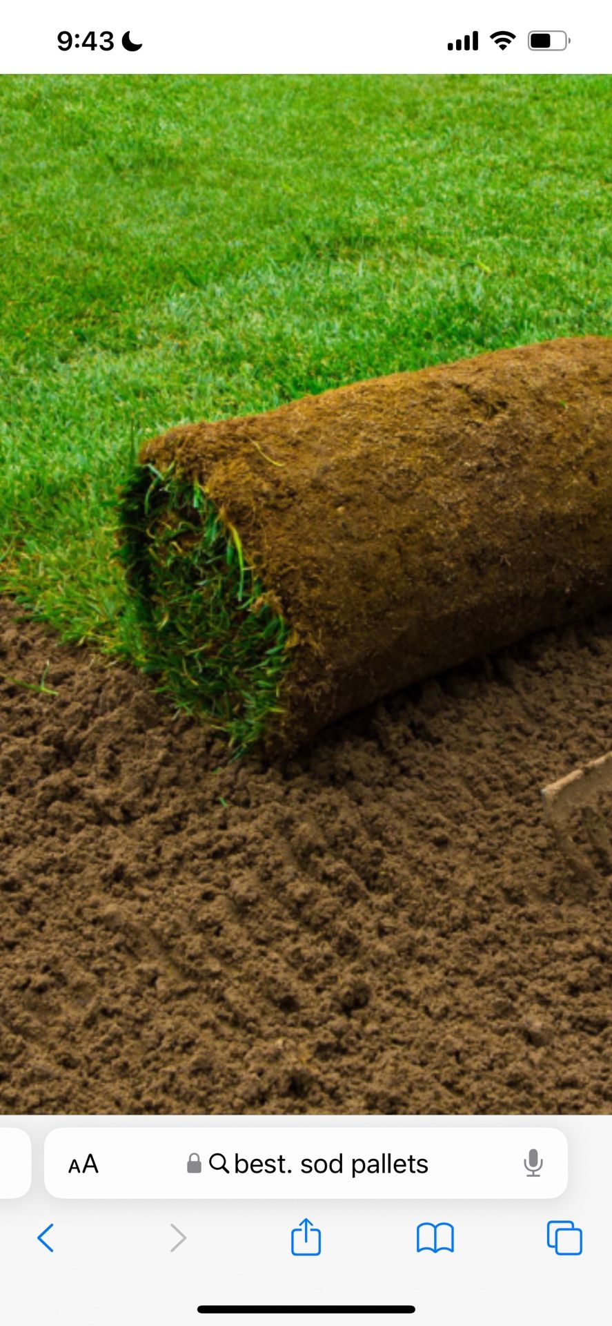 Fresh Sod