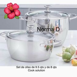 Set de ollas de 9.5 qts y de 8 qts cook solution nuevas en sus cajas 🌺 princess house 🌺