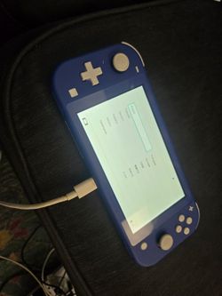Nintendo switch lite
