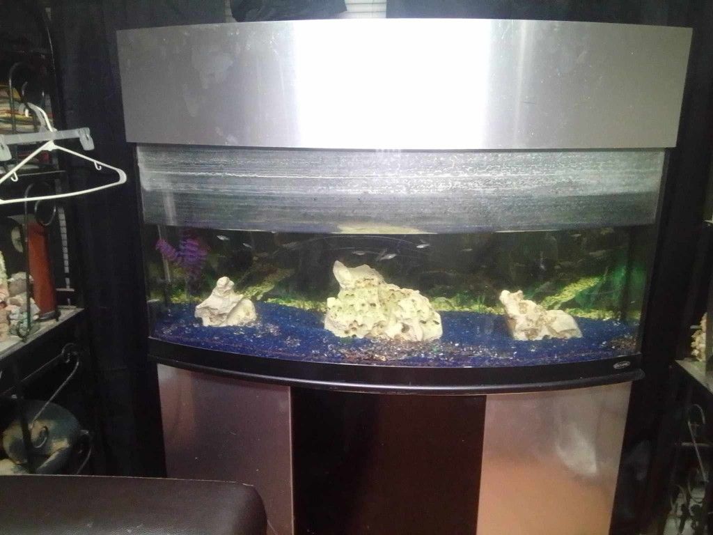 100 Gallon Fish Tank