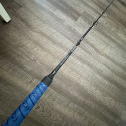 Daiwa Proteus 7’6” MH Salt Water Fishing Rod. 