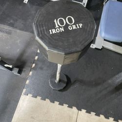 100 lb Iron Grip EZ Curl Barbell