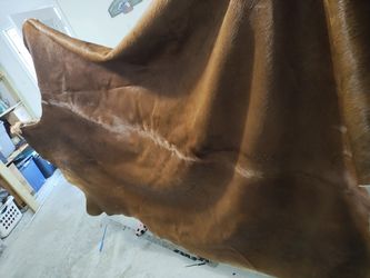  Livingroom Carpet Cow Skin Made In Brazil Brand New 