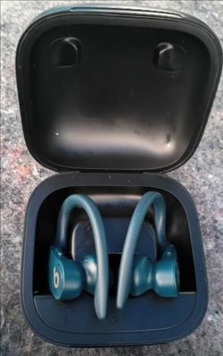Beats Powerbeats Pro Wireless Earbuds with Case
