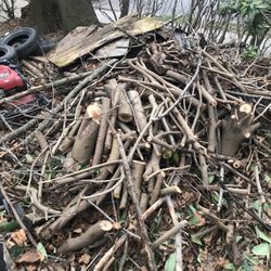 FREE.  FIRE WOOD.    TAKE. IT ALL. 