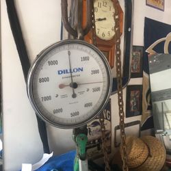 Dillion 5 ton scale