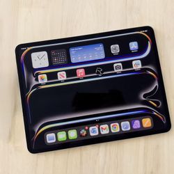 iPad Pro M4 Cellular