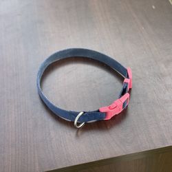 20” Dog Collar