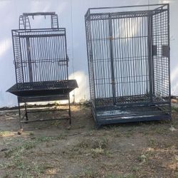 Big Bird Cages ... 