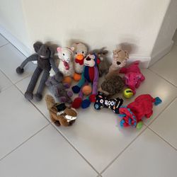 Lots Of Dog Toys