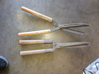 Corona sheer clippers