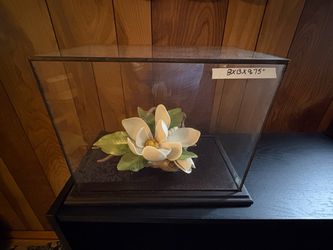 Vintage Display Case