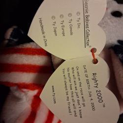 Beanie Baby Babies Collectors 