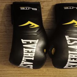 Everlast Boxing  Gloves