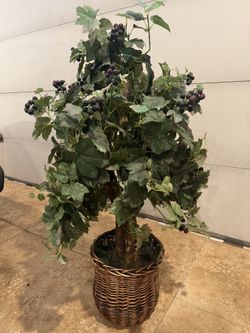 Faux Plant