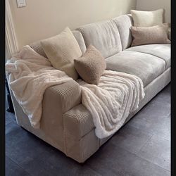 Cream Beige Color Couch 