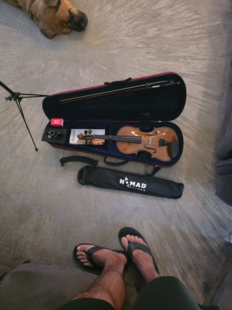 Stentor Violin