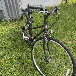 Bicycle 