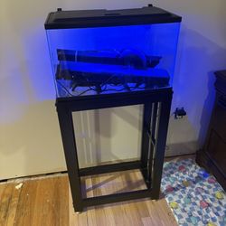 10 Gallon Fish Tank Aquarium 