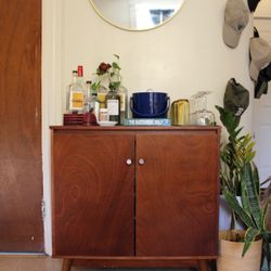 Mid Century Modern Cupboard