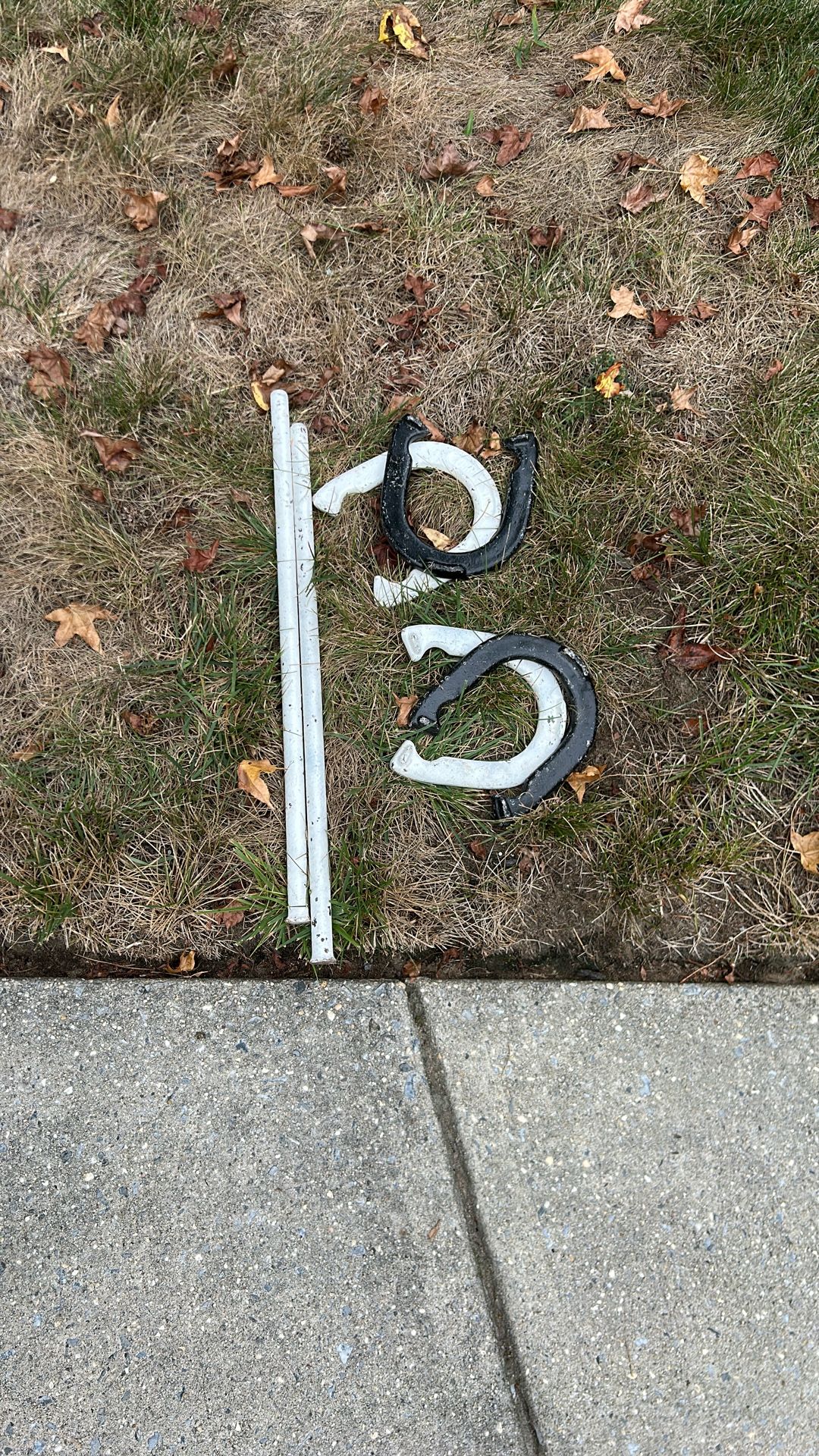 Horseshoe Set