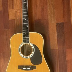 Esteban Acoustic/Electric Guitar 