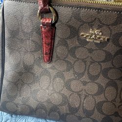 Bonita Bolsa Semi Nueva 