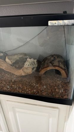 Glass Reptile Terrarium with Accessories and Ball Python