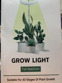 Grow Light For Plants