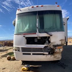 2003 National Dolphin