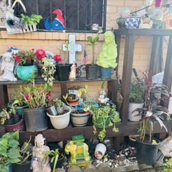 Instante De Jardines Ah $ 50 Ya Esteimiado… Pintado Color Stein 