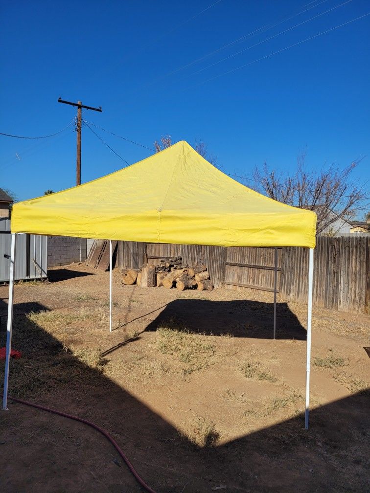 EZ Up 10'x10' Commercial Canopy with Leg Weights