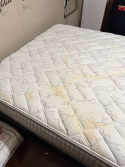 Queen Bed