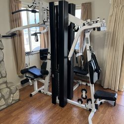 Body Solid Workout Home Gym