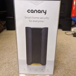 Canary home camera burglar system

