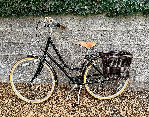 Rear Rack Raleigh Superbe Ie City Bike Raleigh Superbe Women'