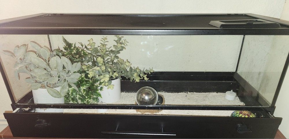 Glass Terrarium 30 x 12 x 12