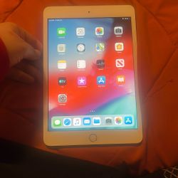iPad Mini 3 