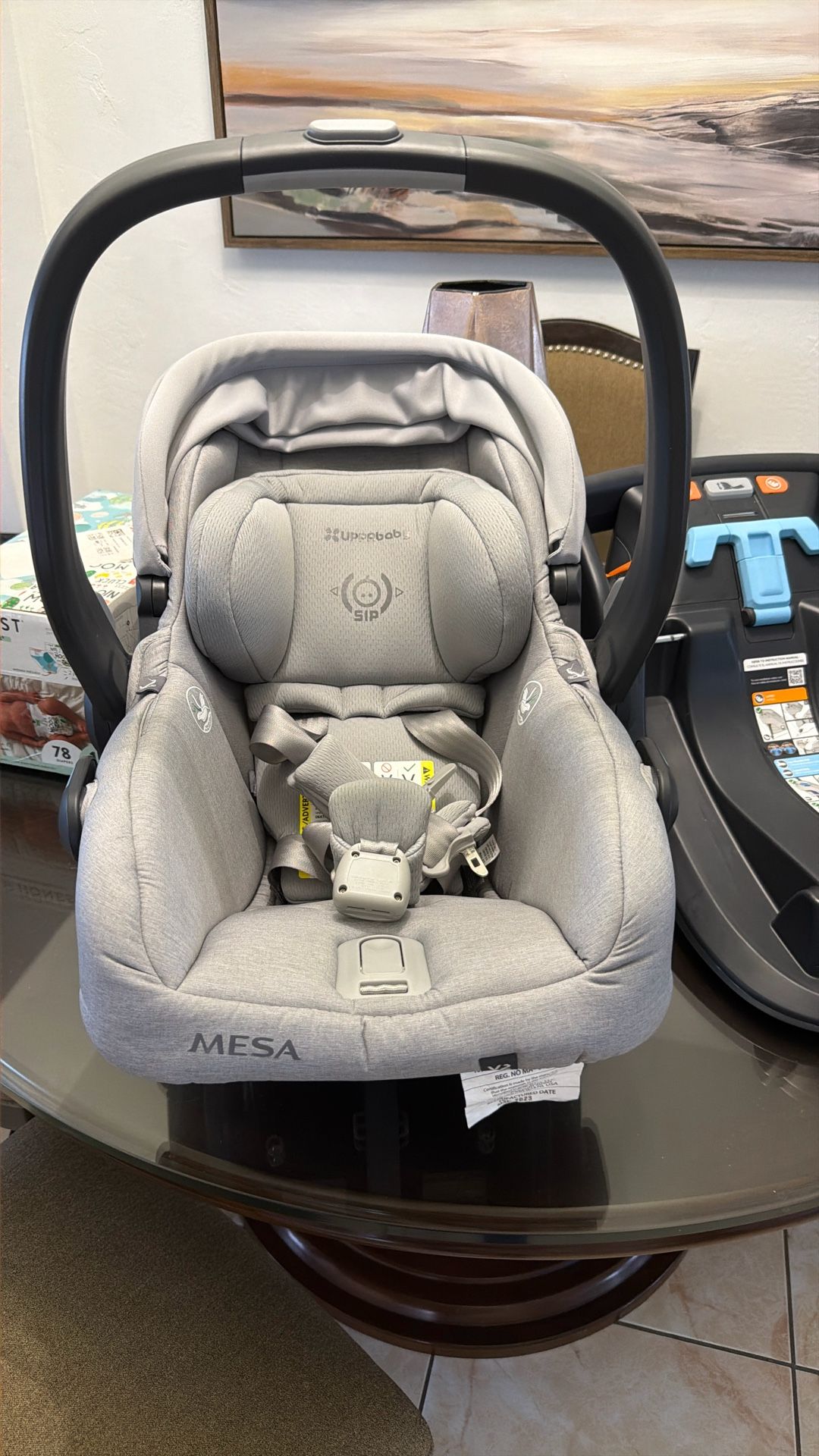 UPPAbaby Mesa V2 Infant Car Seat And Base