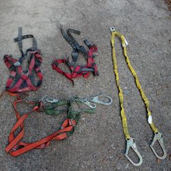 Harness All For $65