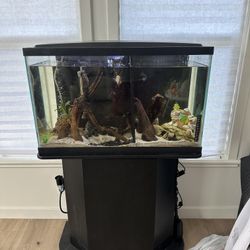 29 Gallon Fish Tank & Stand
