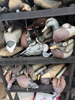 Duck decoys