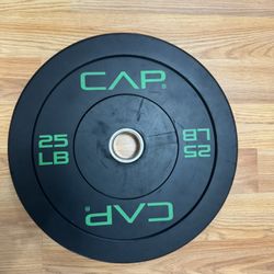 Two 25lb Rubber Plates 