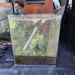 6.5G Nano Tank/aquarium 
