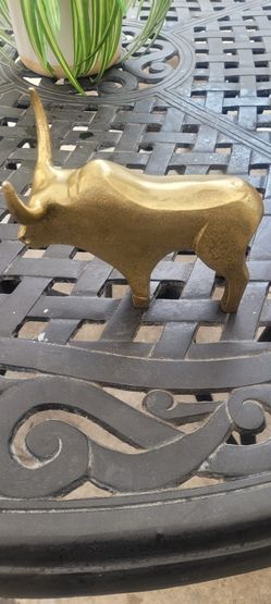 Little Bull