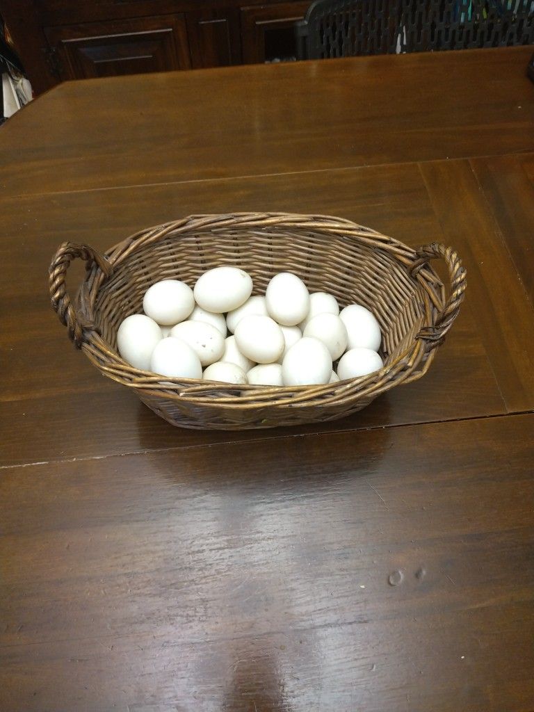 Fresh Fresh Unwashed Duck Eggs!!!!!