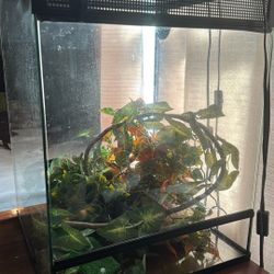 Thrive Tropical Reptile Terrarium 