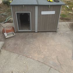 Big Dog House 
