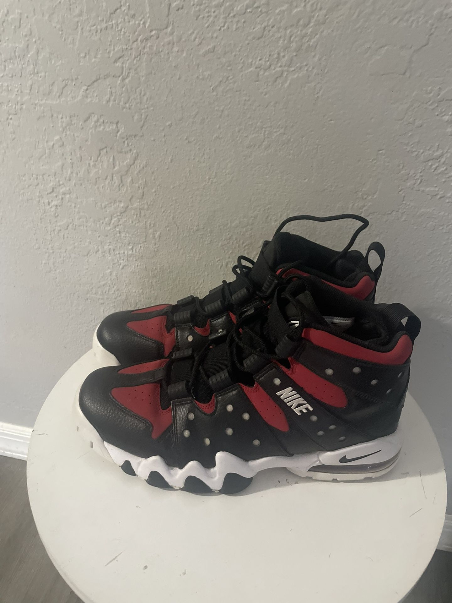 Men's Charles Barkleys