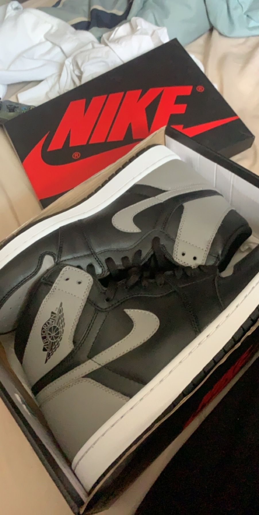 Jordan 1 shadow 2018